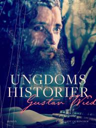 Icon image Ungdomshistorier