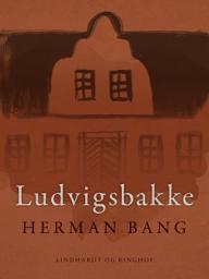 Icon image Ludvigsbakke