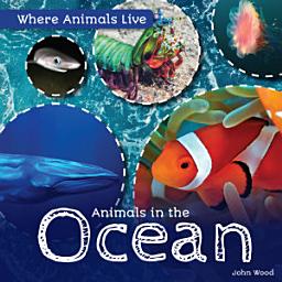 Icon image Animals in the Ocean