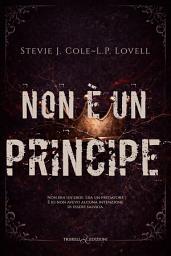 Icon image Non è un principe