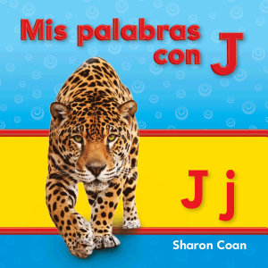 Icon image
