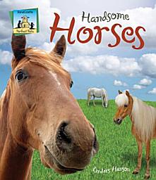 Icon image Handsome Horses