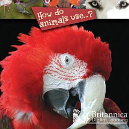 Icon image How Do Animals Use?