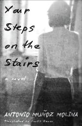 Icon image Your Steps on the Stairs: A Novel