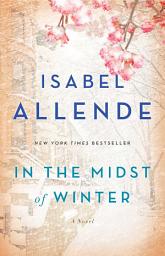 Icon image In the Midst of Winter: A Novel