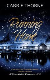 Icon image Running Home: A Beachside Romance, Book 2
