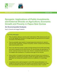 Icon image Synopsis: Implications of public investments and external shocks on agriculture, economic growth and poverty in Papua New Guinea: An economywide analysis