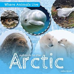 Icon image Animals in the Arctic