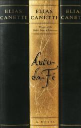 Icon image Auto-da-Fé: A Novel