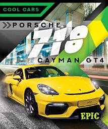Icon image Porsche 718 Cayman GT4