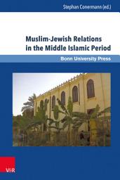 Icon image Muslim-Jewish Relations in the Middle Islamic Period: Jews in the Ayyubid and Mamluk Sultanates (1171–1517)