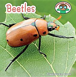 Icon image Beetles