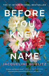 Icon image Before You Knew My Name: A Novel