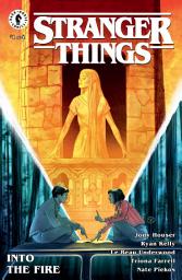 Icon image Stranger Things: Into the Fire