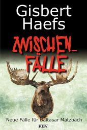 Icon image Zwischenfälle: Neue Fälle für Baltasar Matzbach