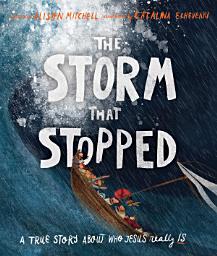 Icon image The Storm That Stopped Storybook: A true story about who Jesus really is