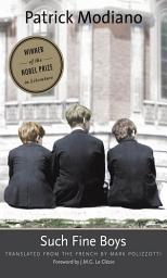 Icon image Such Fine Boys