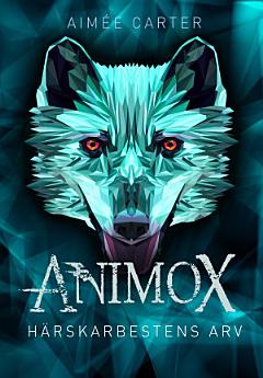 Icon image