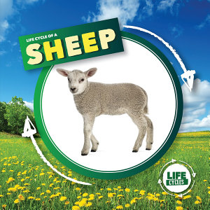 Icon image