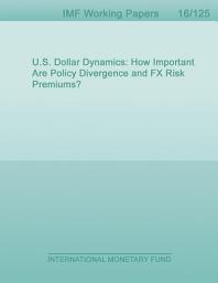 Icon image U.S. Dollar Dynamics: How Important Are Policy Divergence and FX Risk Premiums?
