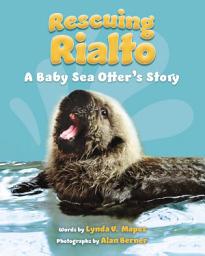 Icon image Rescuing Rialto: A Baby Sea Otter's Story