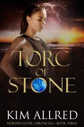 Icon image Torc of Stone: A Time Travel Romantic Adventure