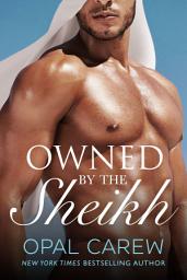 Icon image Owned by the Sheikh: An Erotic Romance Collection