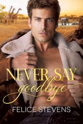Icon image Never Say Goodbye: A gay romance