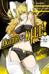 Icon image Akame ga KILL!