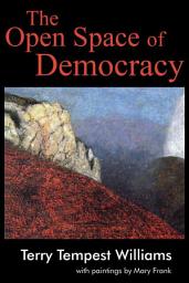 Icon image The Open Space of Democracy