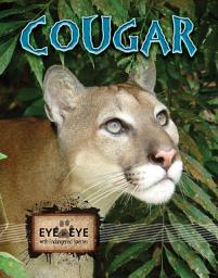 Icon image Cougars