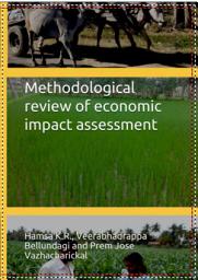 Icon image Methodological review of economic impact assessment