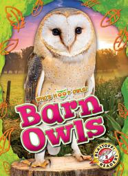 Icon image Barn Owls