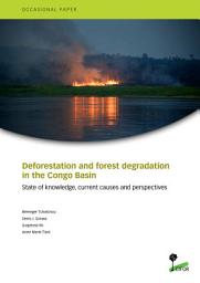 Icon image Deforestation and forest degradation in the Congo Basin: State of knowledge, current causes and perspectives