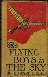 Icon image The Flying Boys in the Sky