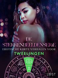 Icon image De Sterrenbeeldenserie: erotische korte verhalen voor Tweelingen: Volume 8
