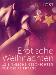 Icon image Erotische Weihnachten: 12 sinnliche Geschichten für die Feiertage