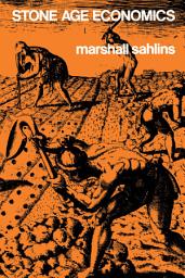 Icon image Stone Age Economics