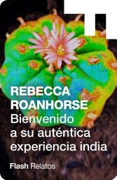 Icon image Bienvenido a su auténtica experiencia india (TM)