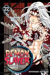 Icon image Demon Slayer: Kimetsu no Yaiba, Vol. 22