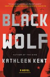 Icon image Black Wolf: A Novel