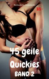Icon image 45 geile Quickies Band 2: Perverser Erotiksammler