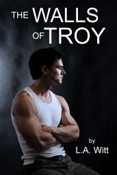 Icon image The Walls of Troy: M/M Military Romantic Suspense