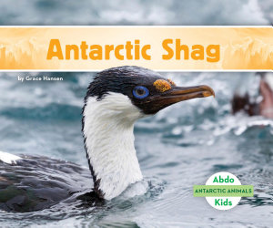 Icon image Antarctic Shag