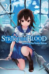 Icon image Strike the Blood (light novel): Reunion of the Vampire Princess