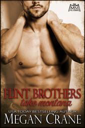 Icon image The Flint Brothers Take Montana