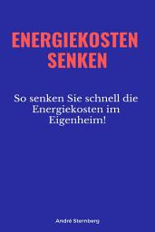 Icon image Energiekosten senkenEnergiekosten senken: So senken Sie schnell die Energiekosten im Eigenheim!