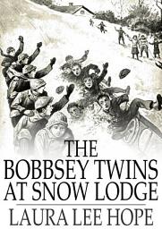 Icon image The Bobbsey Twins at Snow Lodge