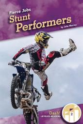 Icon image Stunt Performers