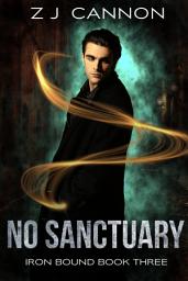 Icon image No Sanctuary